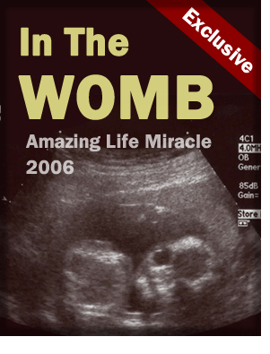 In the Womb Blog