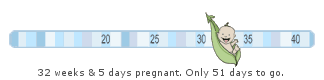 Lilypie Expecting a baby Ticker
