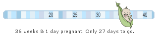 Lilypie Expecting a baby Ticker