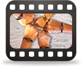 video icon